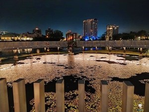 湧泉公園