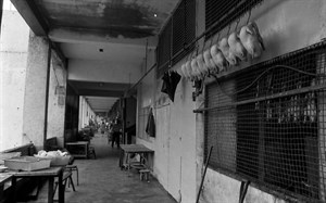 真北平餐廳 晾掛在餐廳三樓廚房外的全鴨  中華商場 義棟三樓 1988 