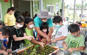 孩子在美濃湖水雉復育工作站栽植自己的水草箱，長期觀察野蓮、過長沙等水草的生長