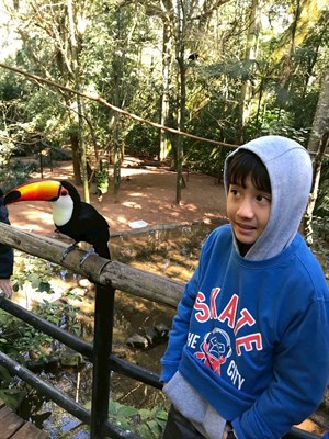 巴西鳥園