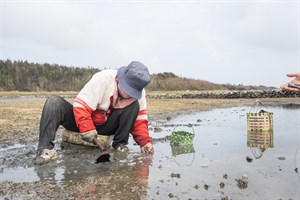 1019澎湖紅羅去海的阿嬤