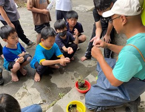 教導育苗相關知識