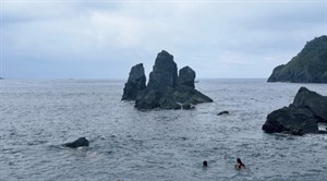 粉鳥林秘境