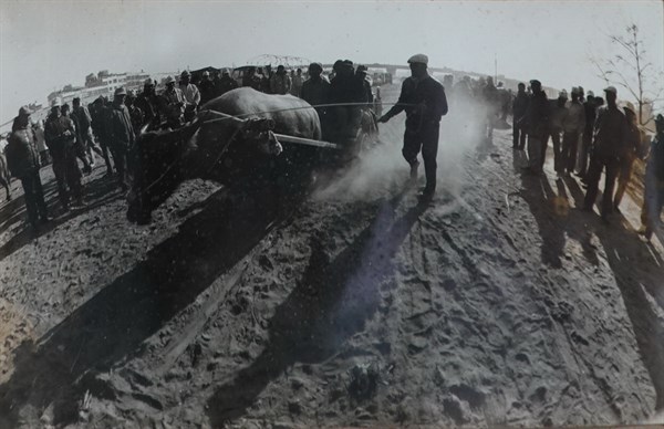 北港高中鄉土文物館館藏文物：北港牛墟考車老照片
