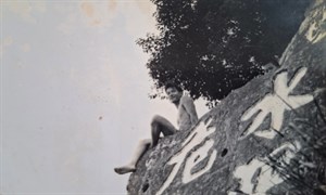 碧潭跳水(1) 