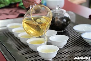 古坑高山茶