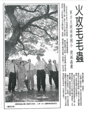 南寮國小毛毛蟲危機相關報導