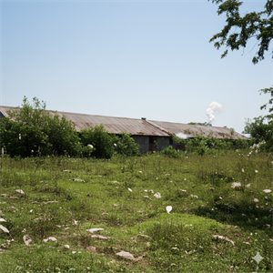 災後(九三黛納颱風摧毀)興建中之中興新村 - AI 修繪圖