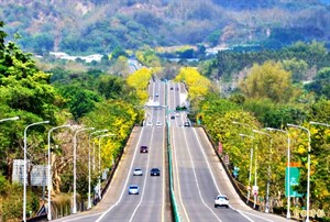 台84線黃金公路