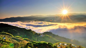 阿里山歷史