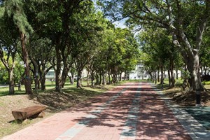 外環的森林步道