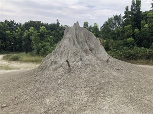 烏山頂泥火山