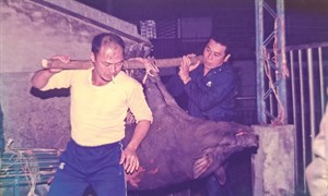 太平宮60年一次的建醮祭典前一晚(5)